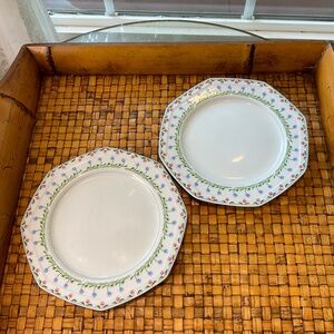 Mikasa Younger Than Spring Time Bali Hai 8” Plates